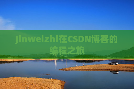 Jinweizhi在CSDN博客的编程之旅